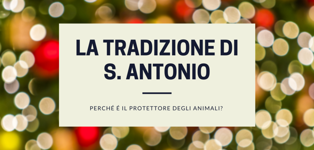 s.Antonio è il protettore degli animali