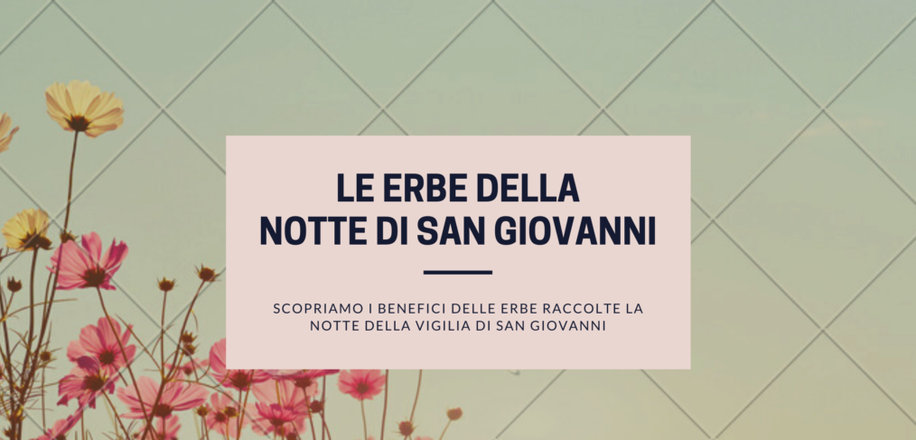 le erbe della notte di san giovanni