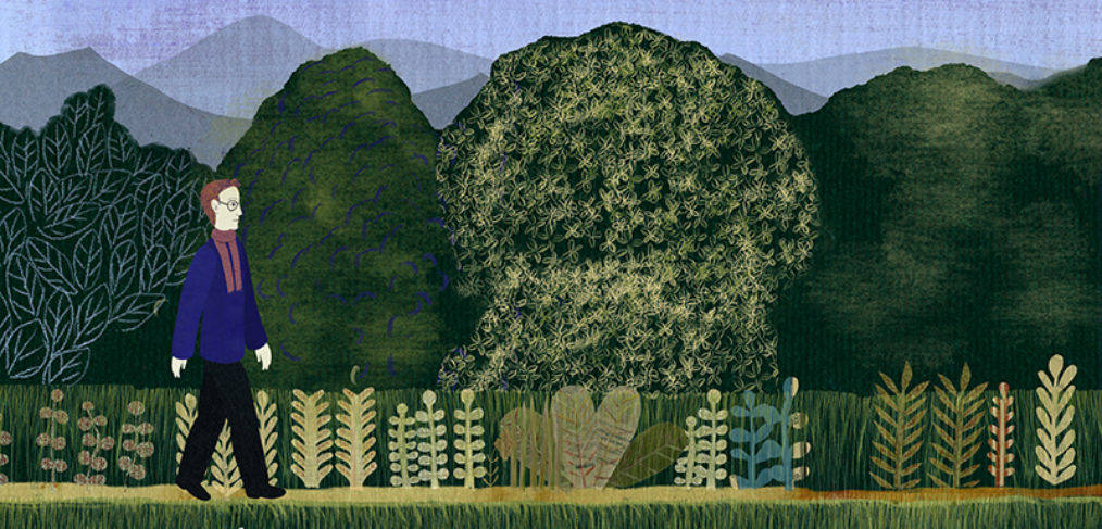 cortometraggio animato giovanni nadiani A m’so