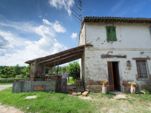 Giancarlo Tondini azienda agricola Brisighella