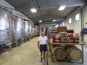 azienda agricola zinzani vino romagna