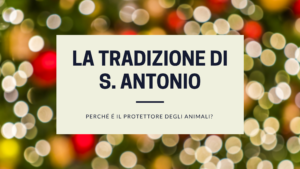 s.Antonio è il protettore degli animali