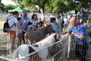 fiera agricola del santerno